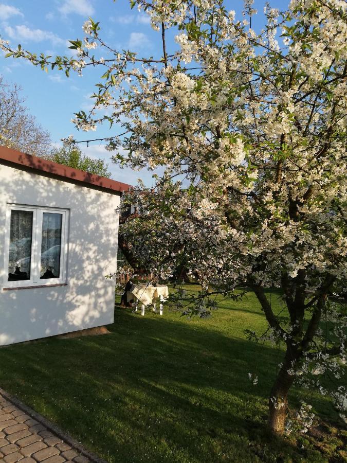 Miwa - Pokoje Do Wynajecia Mikołajki Buitenkant foto